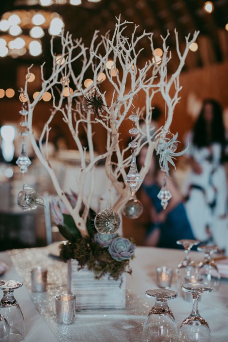 rustic wedding centerpiece of sandblasted white manzanita branches and hanging crystals with clear globes and tillandsia air plants with moss, succulents and a blush king protea at the base