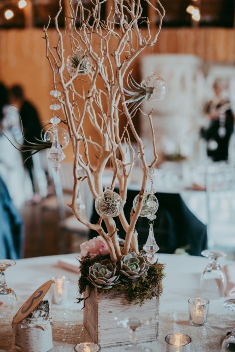 Rustic wedding centerpiece with sandblasted manzanita branches in a whitewashed wooded box with a pale pink peony and lola blush succulents and clear globes with tillandsia air plants and hanging crystals