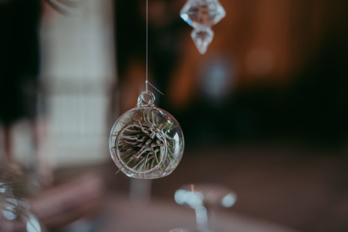 clear glass globe hanging from a centerpiece with a small tillandsia air plant