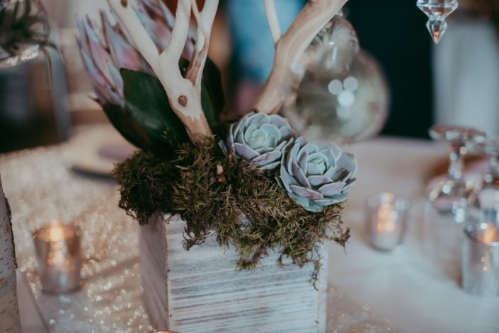 whitewashed wooden box filled with moss, blush succulents, pale pink king protea and sandblasted manzanita branches
