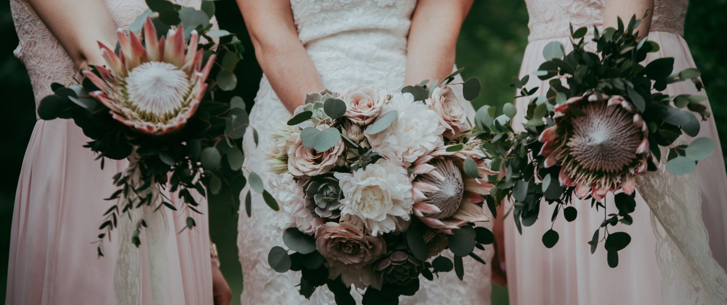 bride with white lace wedding dress holding bridal bouquet of white peony, pale pink king protea, blush quicksand roses, lola blush succulents and silver dollar eucalyptus with bridesmaids with king protea and eucalyptus greenery bouquets and blush pink dresses