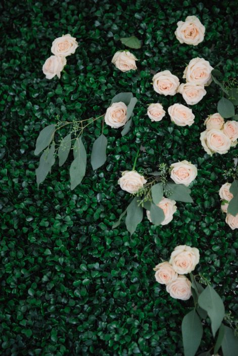 Boxwood backdrop with pale peach spray roses and eucalyptus
