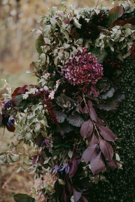 Boxwood wall with foraged greenery accent and burgundy hydrangea