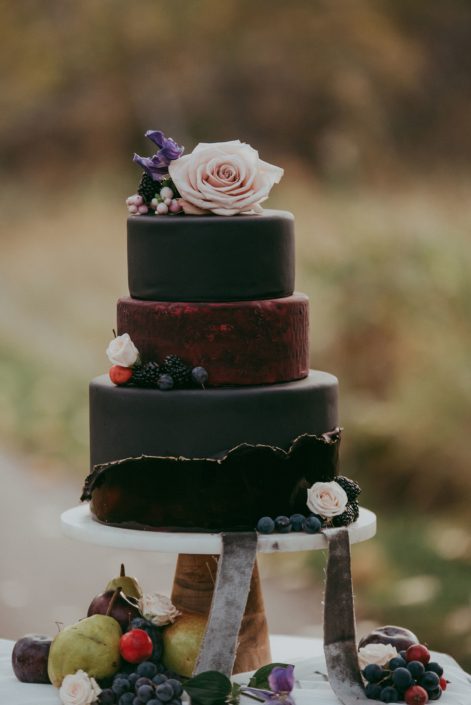 Deep burgundy and black fondant wedding cake with fresh autumnal fruit and