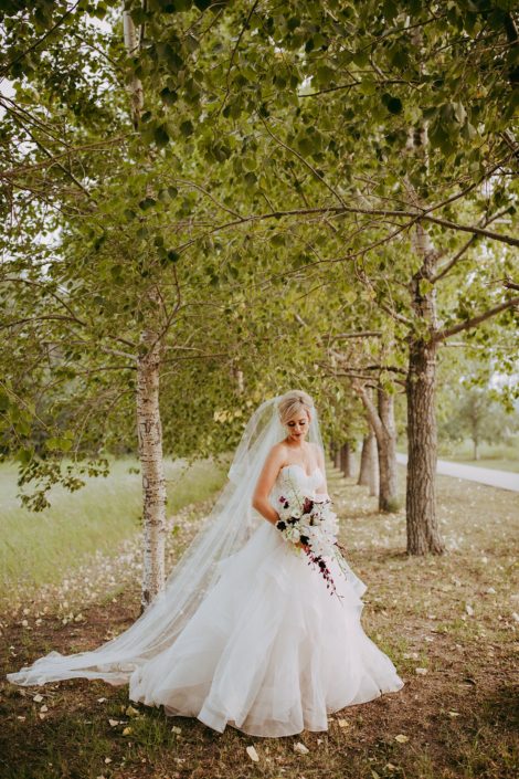 bride in strapless wedding dress with cathedral veil and cascade bridal bouquet in white and burgundy orchids and lilies