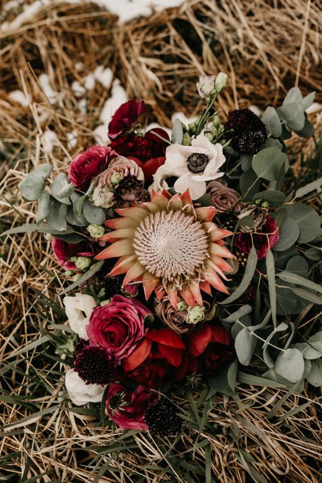 Rustic Boho Chic Wedding - Bridal bouquet made of king protea, red peonies, pink roses, plum scabiosa, panda anenome, and eucalyptus greenery.
