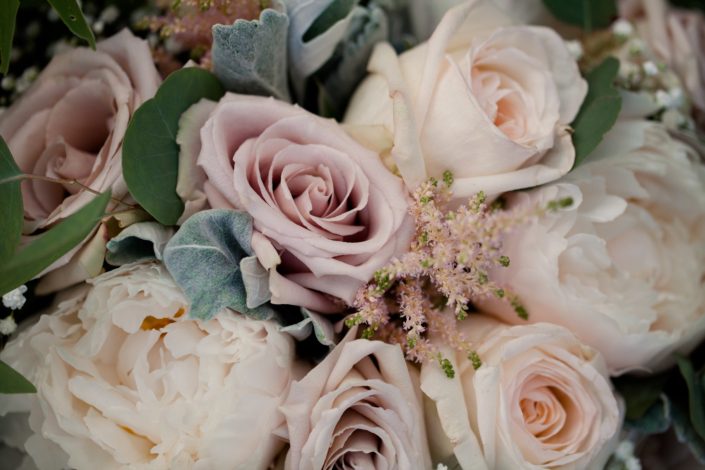 Close-up of quicksand roses, white peonies, white o'hara garden roses with pale pink astilbe and babies breath tucked in accented by dusty miller and eucalyptus greenery.