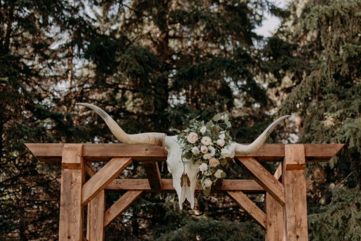 Longhorn skull attached to wooden archway decorated with quicksand roses, panda anemones, ranunculus and lisianthus florals with fresh eucalyptus greenery.