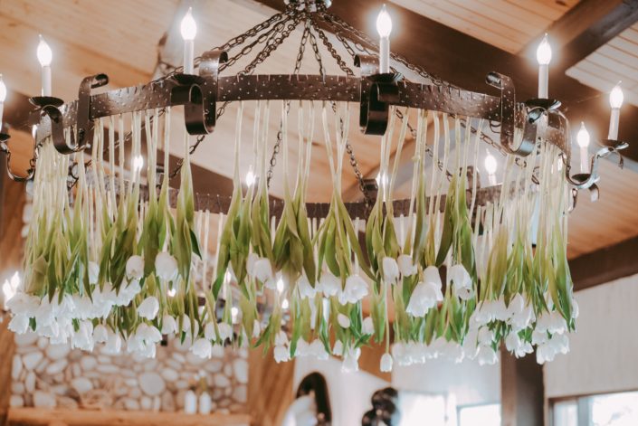 White dream tulips hanging from a chandelier.