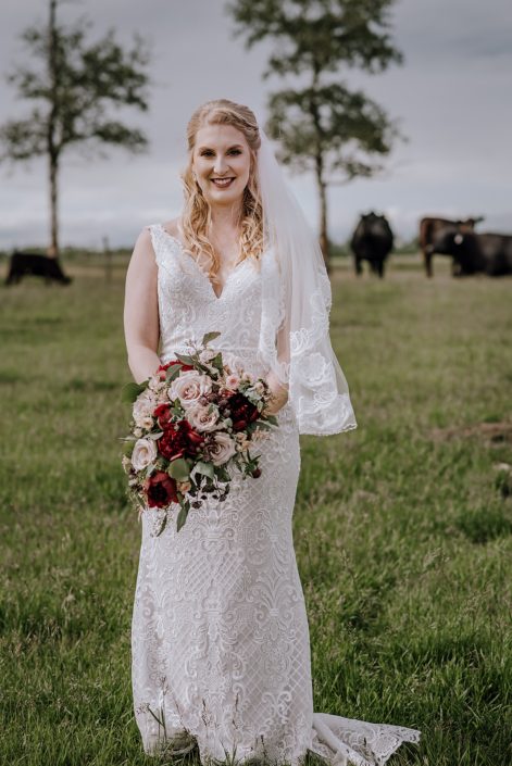 Bride wearing a white lace dress standing in a field with cows and holding a rustic red and blush cascade bridal bouquet designed with red charm peonies, quicksand roses, blush spray roses, burgundy astrantia, pale pink astilbe and eucalyptus greenery.