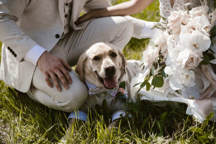 Dog wearing a suit laying down between bride and groom.