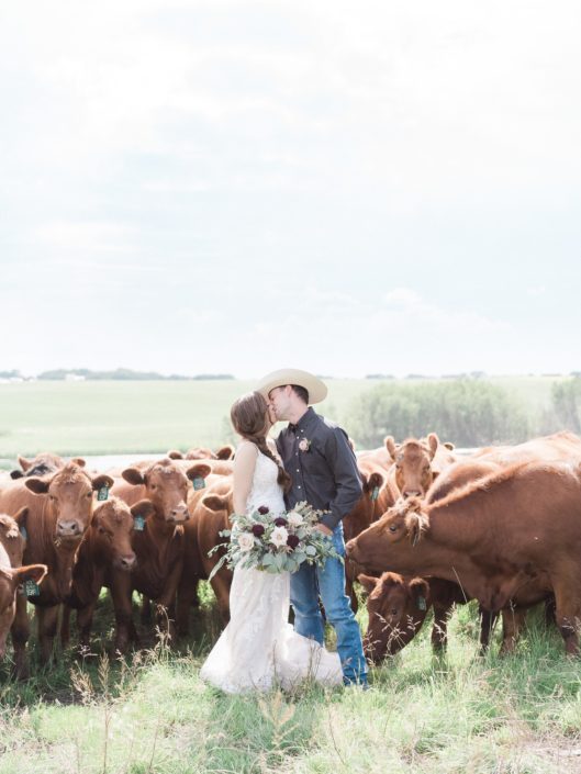 Bride and cowboy groom kissing surrounded by cows with a burgundy country chic bridal bouquet.