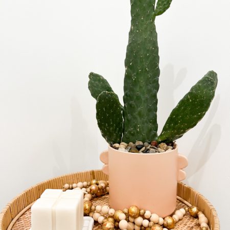 Cowboy Cactus in light coral ceramic