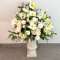 Statement Arrangment