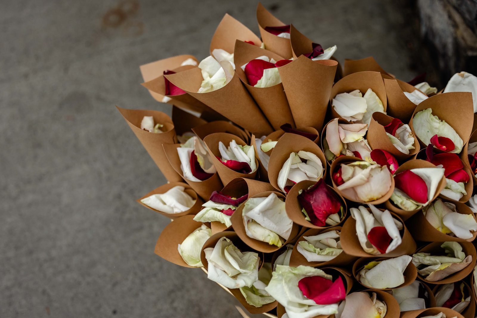 A grouping of paper cones holding rose petals for the guests to toss at the end of the ceremony