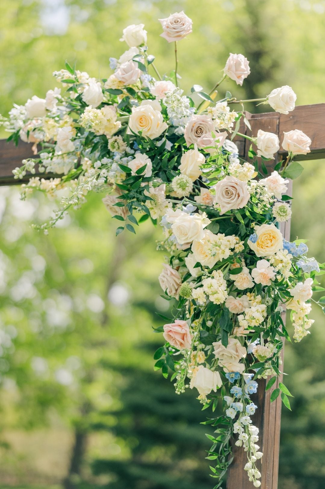 A view of the flowers from the archway, featuring lush foliage, roses, stock, delphinium, carnations, scabiosa and lisianthus.