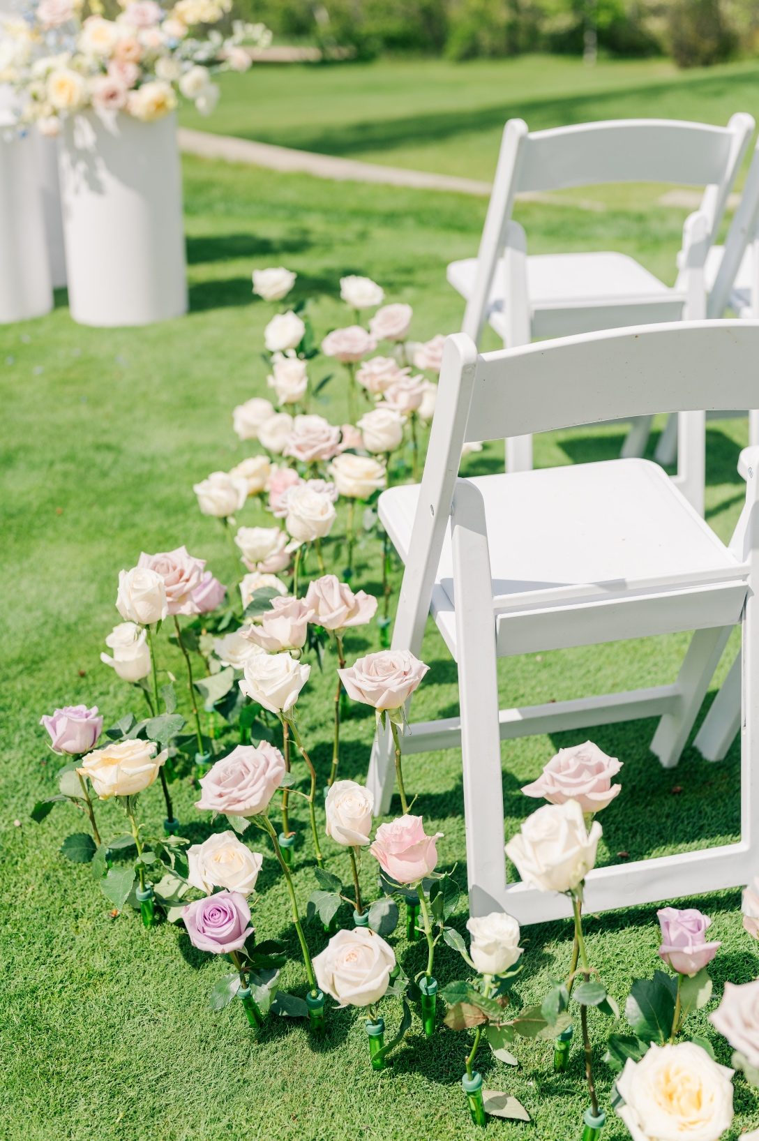 Roses in assorted pastel shades and heights lining the row of the aisle