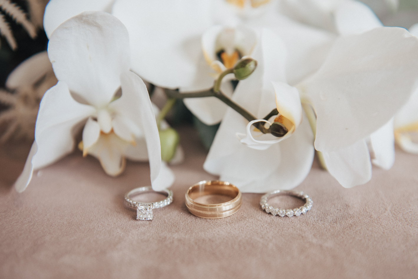 A close up image of Holly's engagement ring, Scott's wedding band and her wedding band with big, beautiful white phalaenopsis orchid blooms.