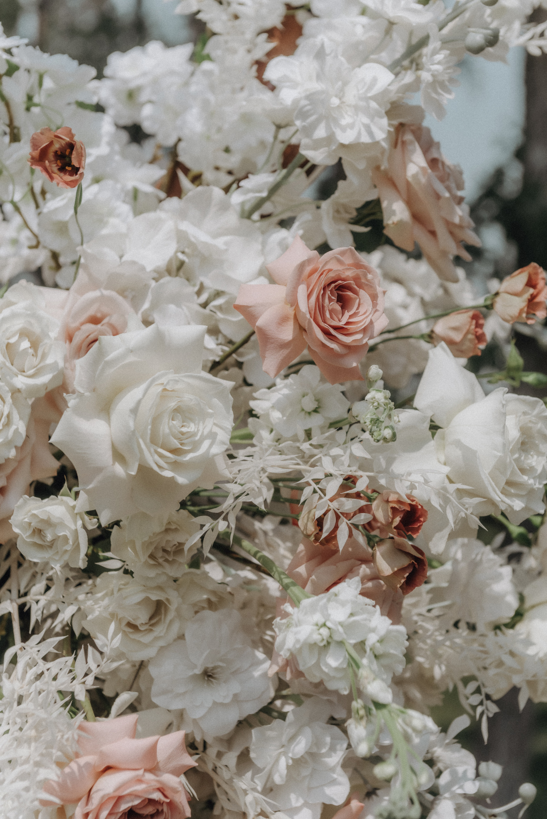 A close up of the flowers used in the archway, including mocha lisianthus, a mixture of roses (cappucino, quicksand, playa blancha, 'white majolica' spray roses), and stock.