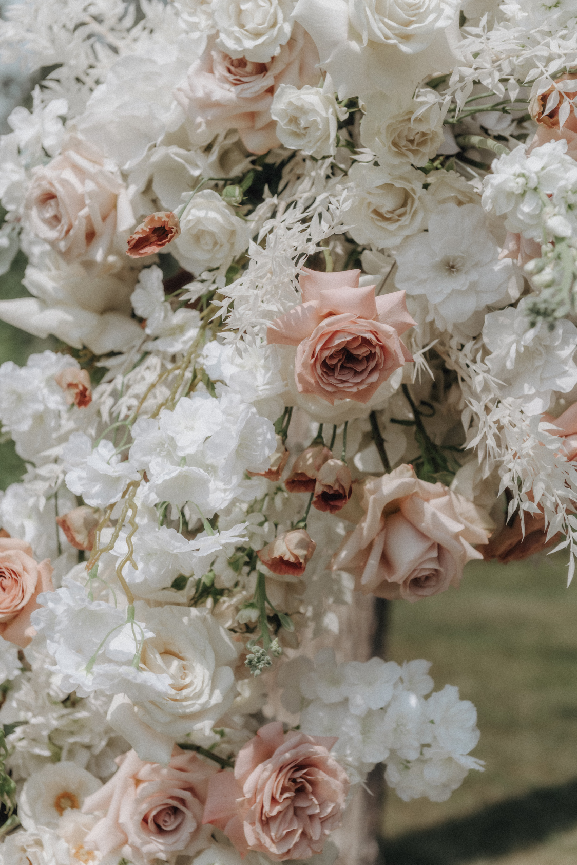 A close up of the flowers used in the archway, including mocha lisianthus, a mixture of roses (cappucino, quicksand, playa blancha, 'white majolica' spray roses), and stock.