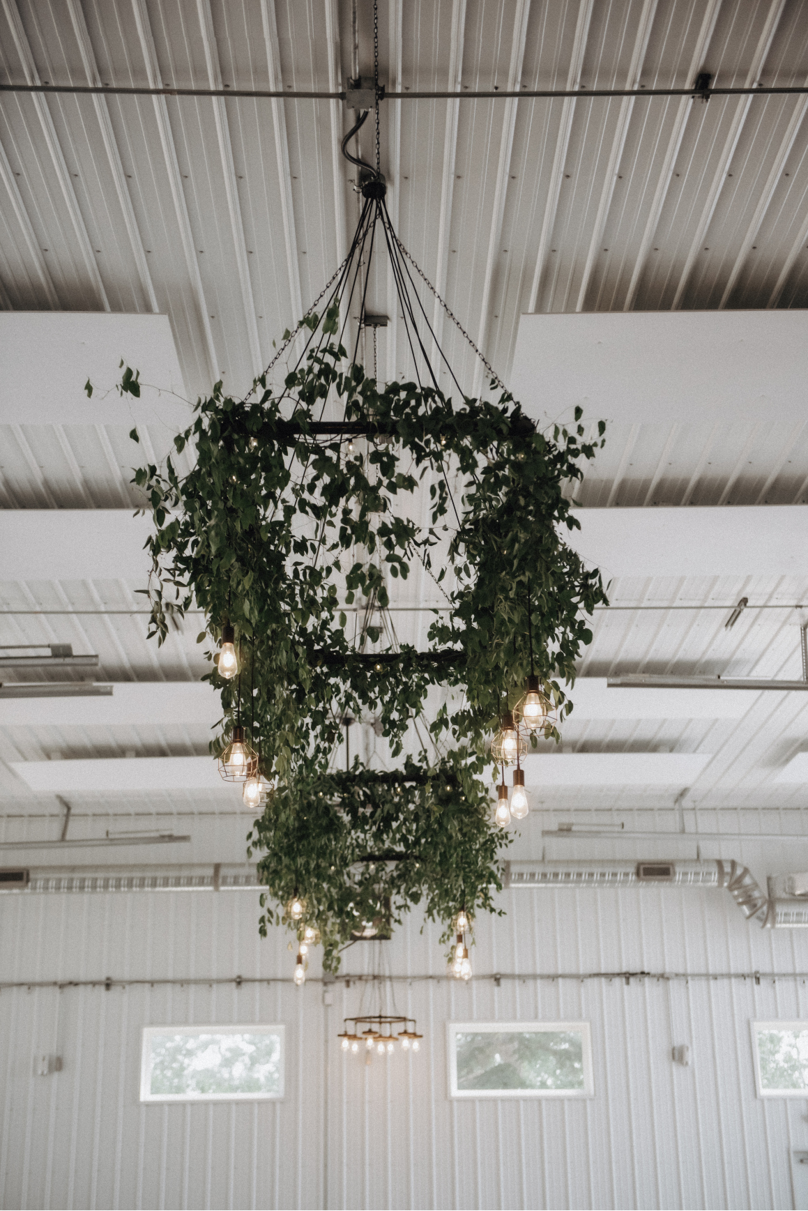 The beautiful chandeliers at 52 North decorated with stunning, lush greenery.