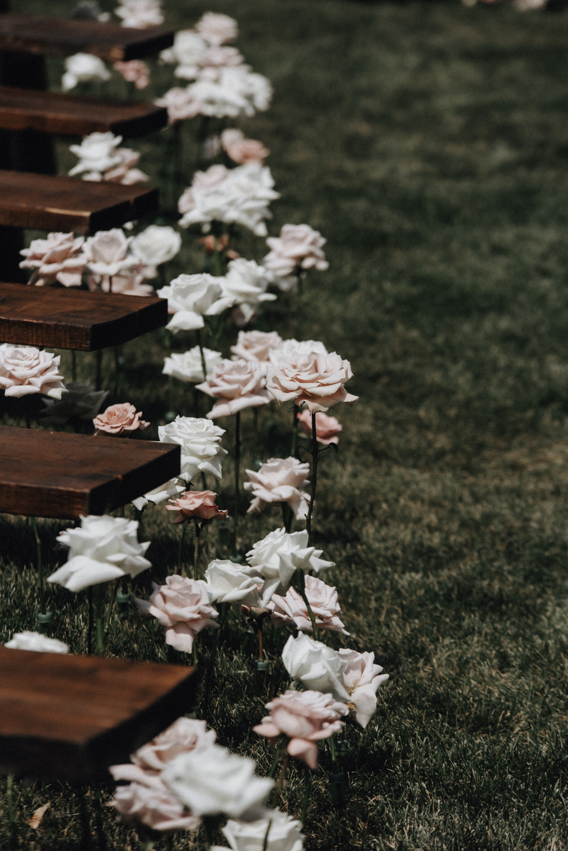 Hundreds of roses at various heights lining the aisle at the ceremony in various shades of white, ivory, and blush.