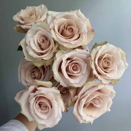 "Quicksand" Roses are a favourite with the perfect combo of blush and beige.