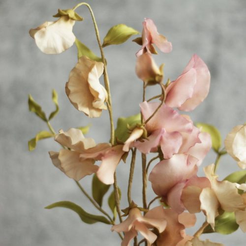 Some dyed varieties of sweet peas with just a hint of brown to them.