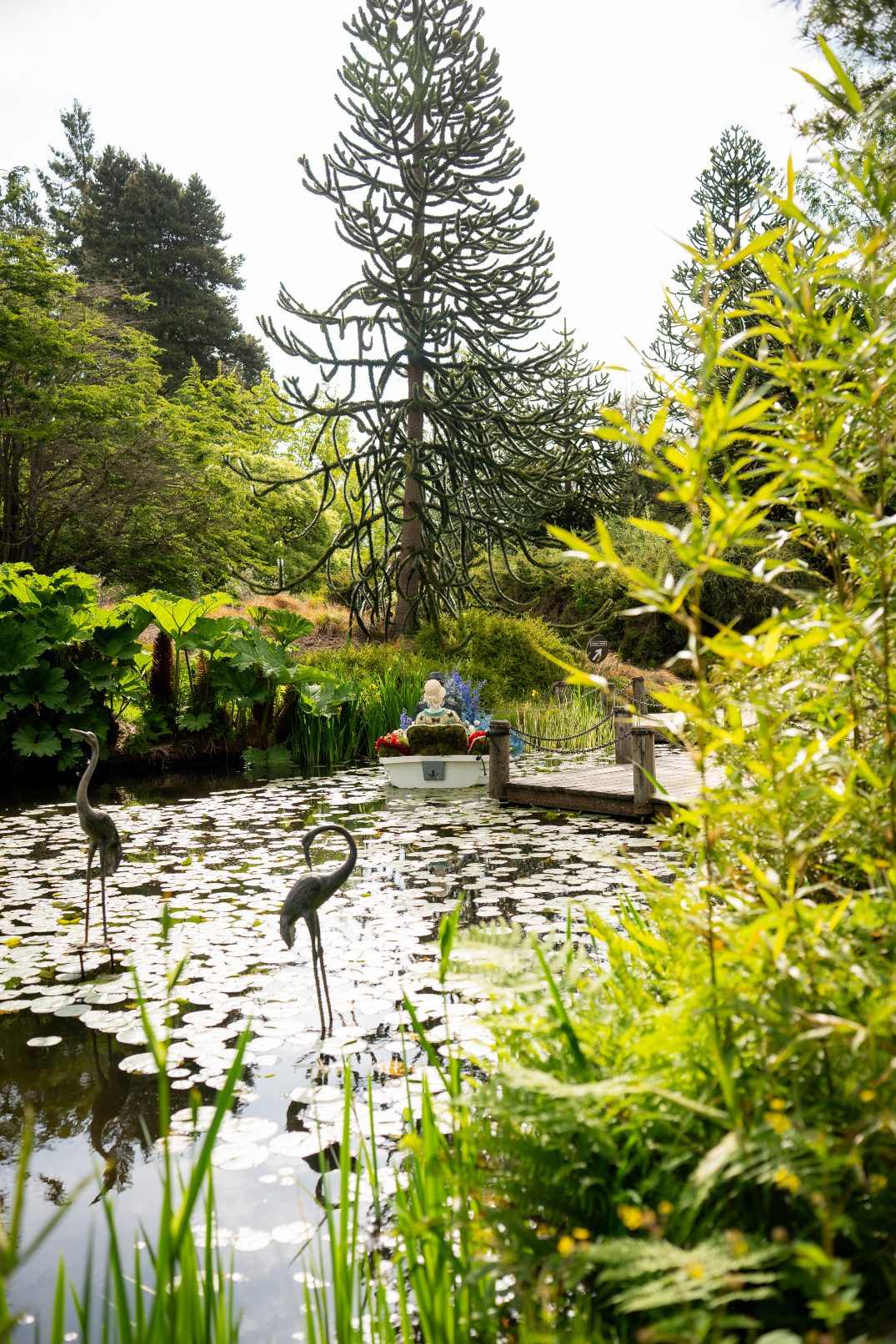 Views of the lily pond at VanDusen Botanical Gardens with tall trees and floral mannequinns in a rowboat in the background and birds in the water.