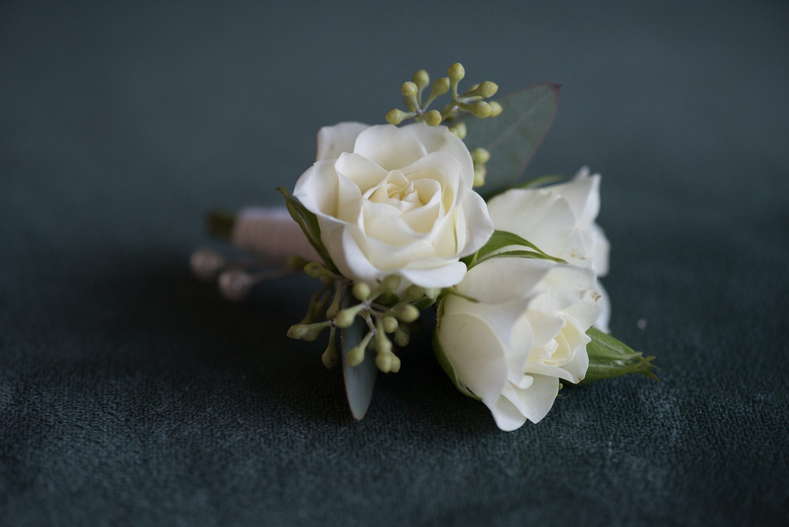 Bella Sprout Classic Blush Bout A simple boutonniere of ivory spray roses and seeded eucalyptus.