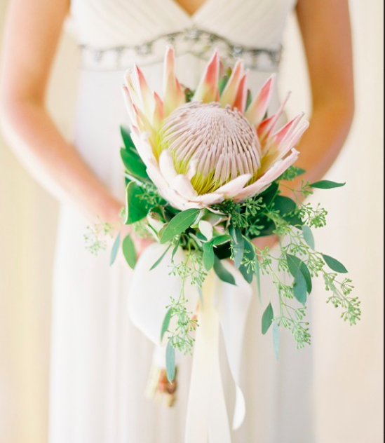 Bella Sprout Modern Elegance Bridesmaid A "Modern Elegance" bridesmaid bouquet featuring a magnificent king protea with a collar of eucalyptus.