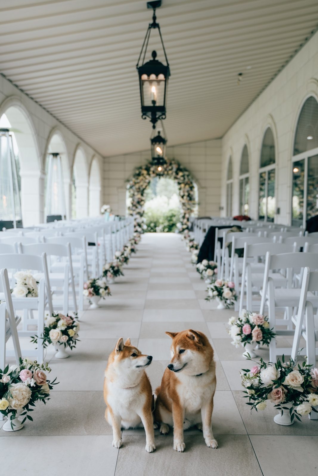 Gorgeous luxury wedding ceremony with two dogs designed with delicate pastel blooms in white and blush including ranunculus, butterfly ranunculus and garden roses and a luxury wedding arch and aisle markers behind them at Archway Manor