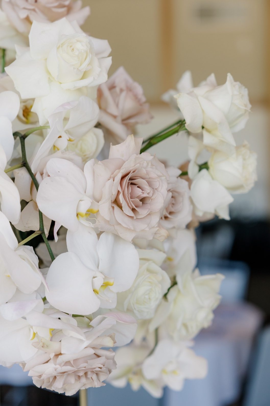 Centrepiece Close Up Close up of blush and ivory roses mixed with white orchids in a lush, elevated floral centrepiece at a luxury wedding reception.