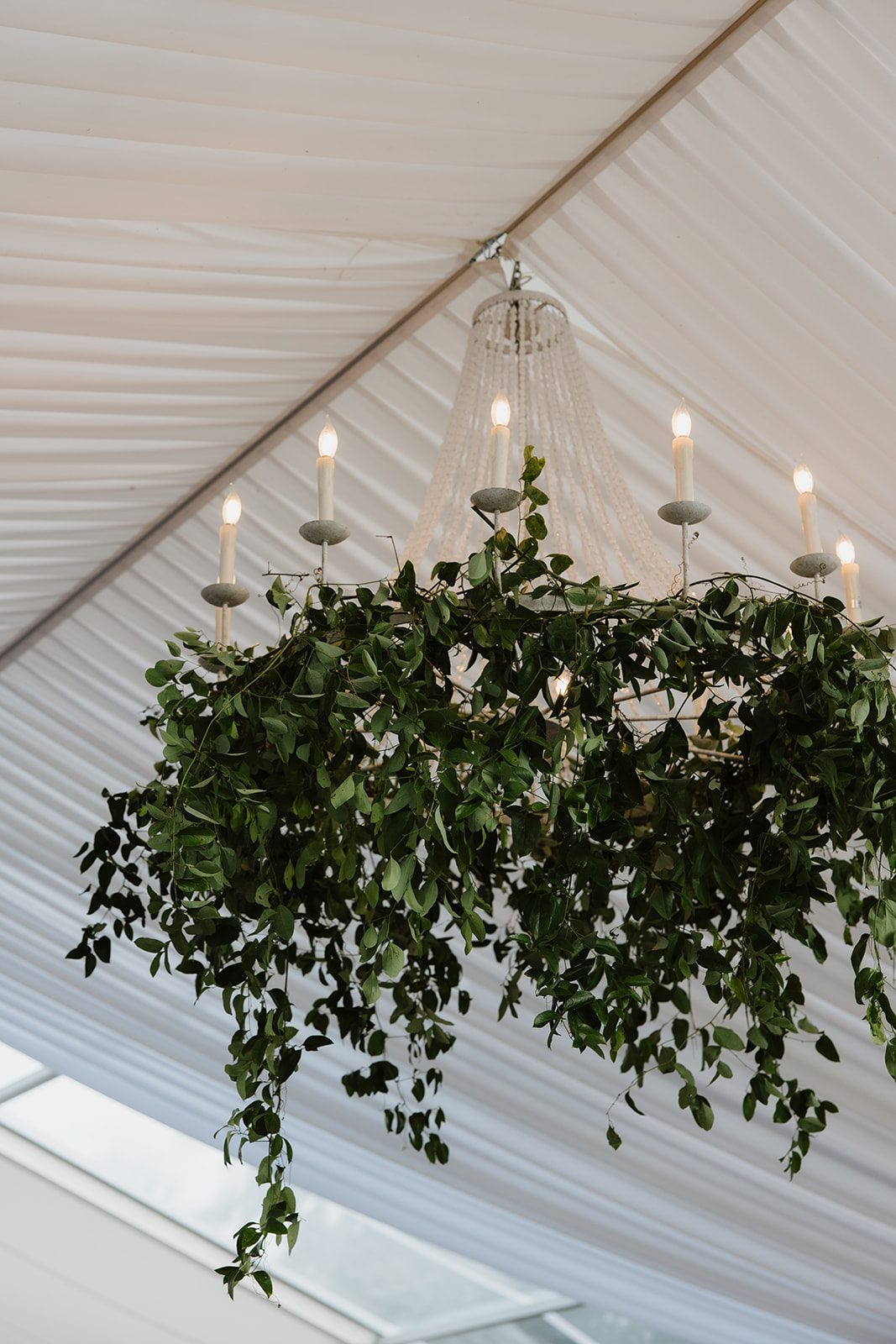 Cassidy + Adon Chandeliers hanging from the ceiling at Hilltop Wedding Center, adorned in ruscus and smilax for an earthy accent to the reception.