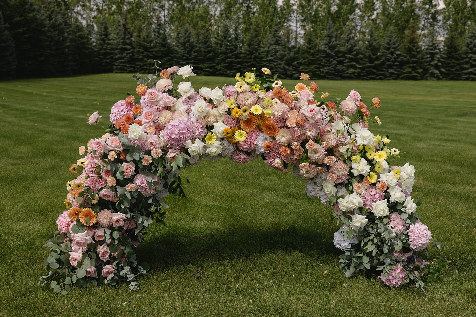A low, pastel, ombre floral arch at a garden wedding ceremony featuring hydrangea, roses, dahlias, gerbera daisies, carnations, ceremonies and eucalyptus.