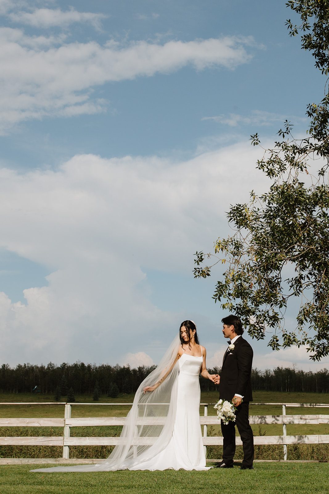 Cassidy + Adon Bride and groom standing on the beautiful grounds at Hilltop, next to a large tree with blue skies and fluffy clouds behind them. She holds her veil gently out behind her and he holds her white bridal bouquet.