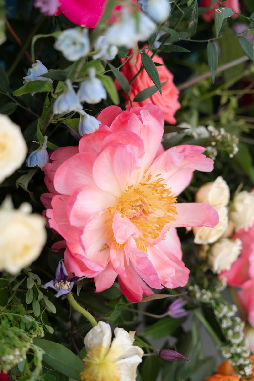 A big, open coral charm peony with its yellow centre featured in a wedding arrangement.