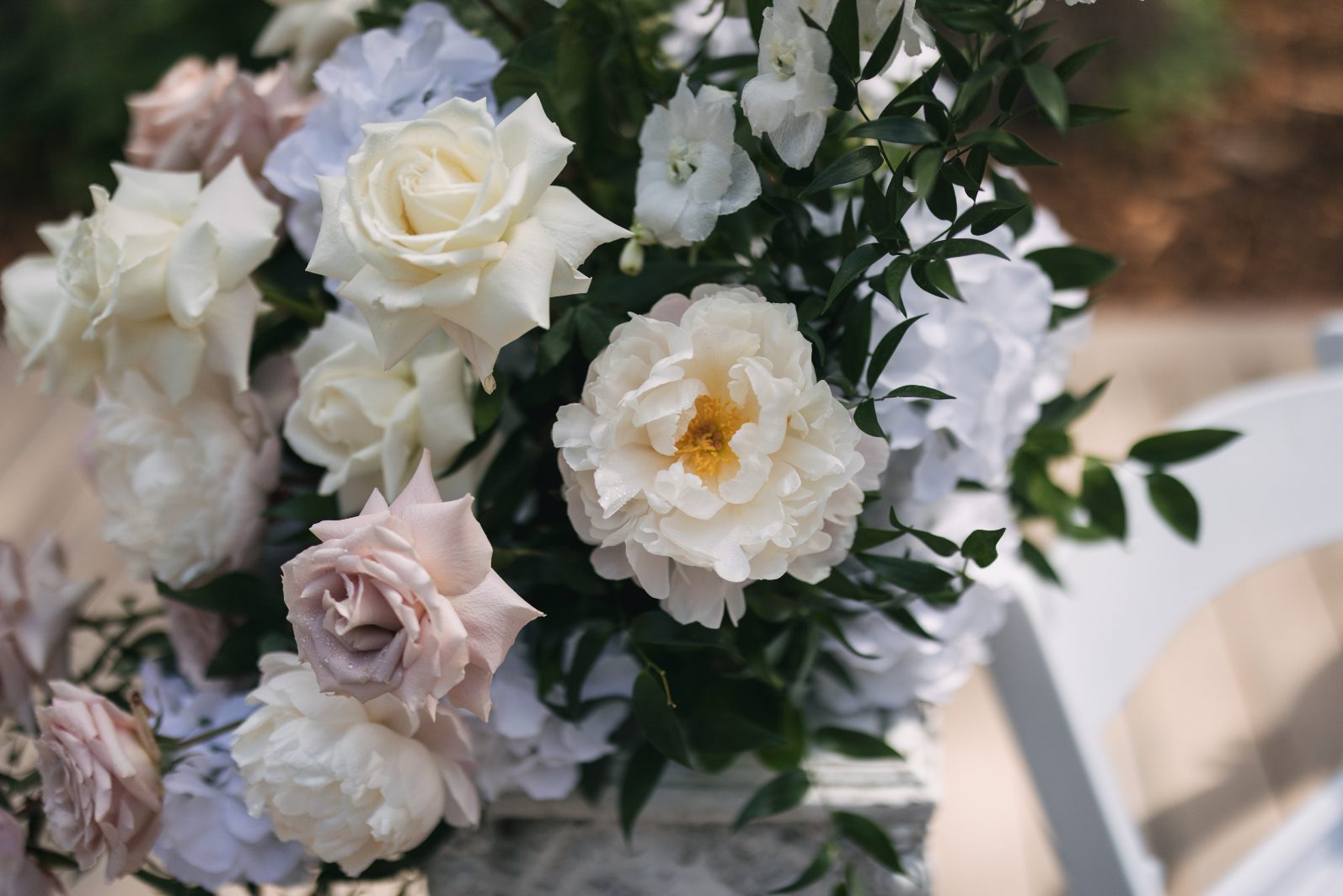 A gorgeous true white peony with a yellow centre featured in a wedding arch.