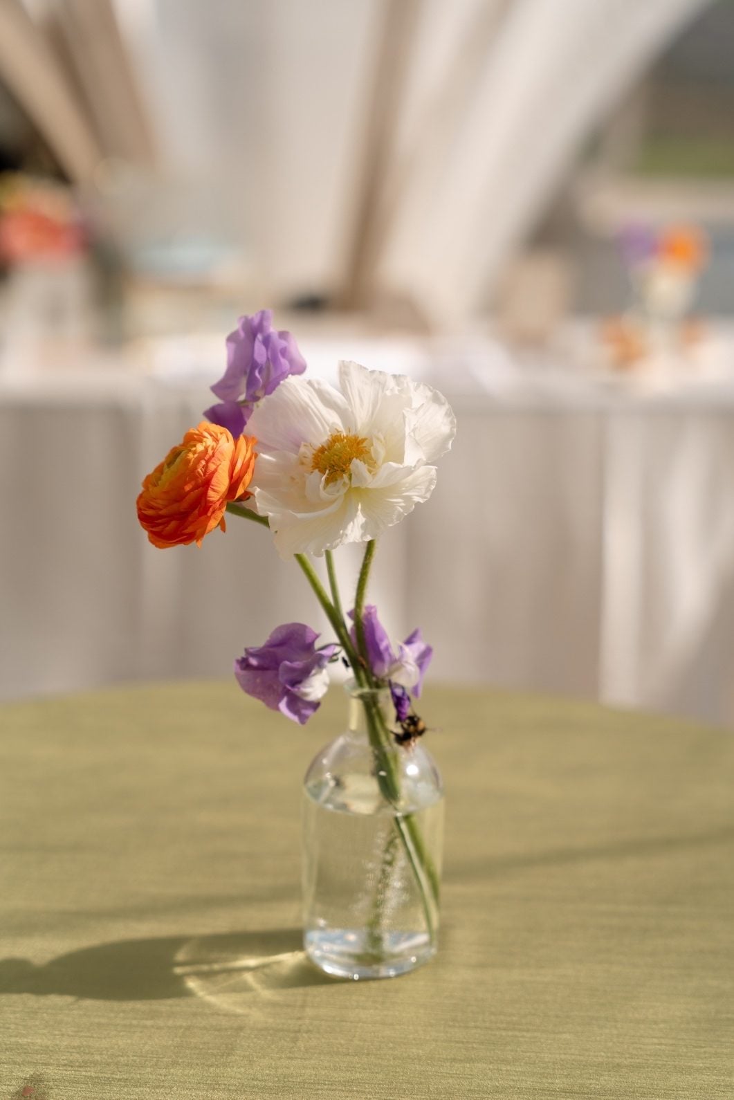 Colourful Bud Vase A bud vase with a white poppy, orange ranunculus and purple sweet pea blooms.
