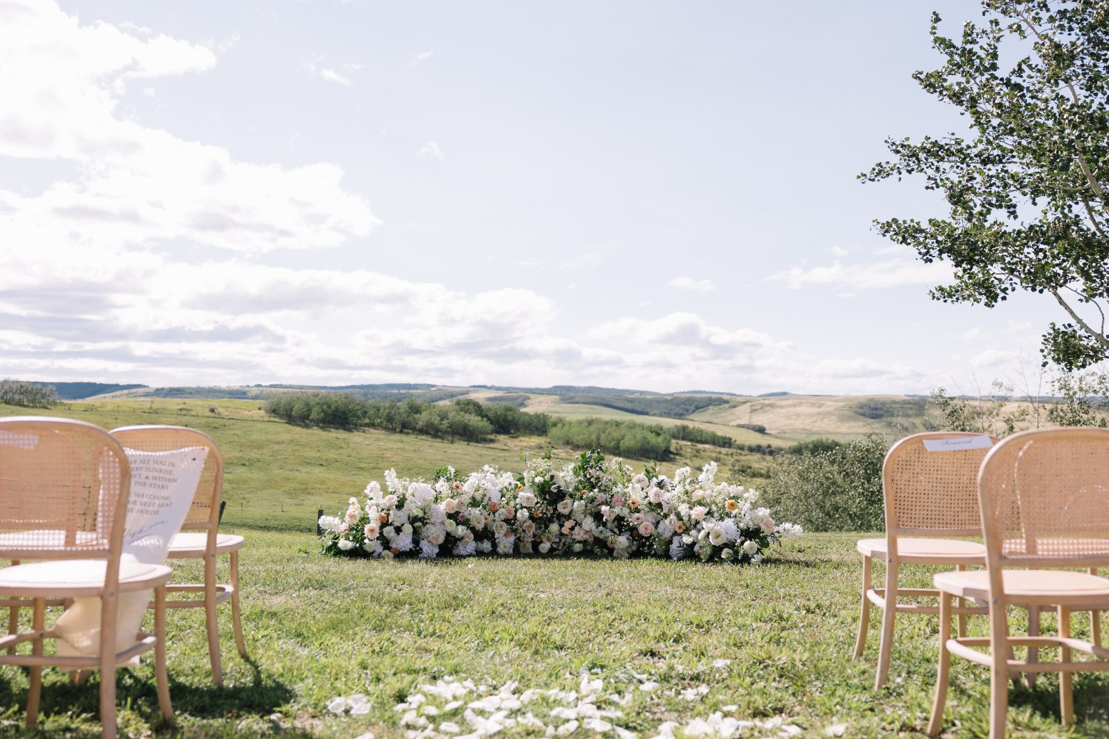 White Ground Arch Outdoor Ceremony
