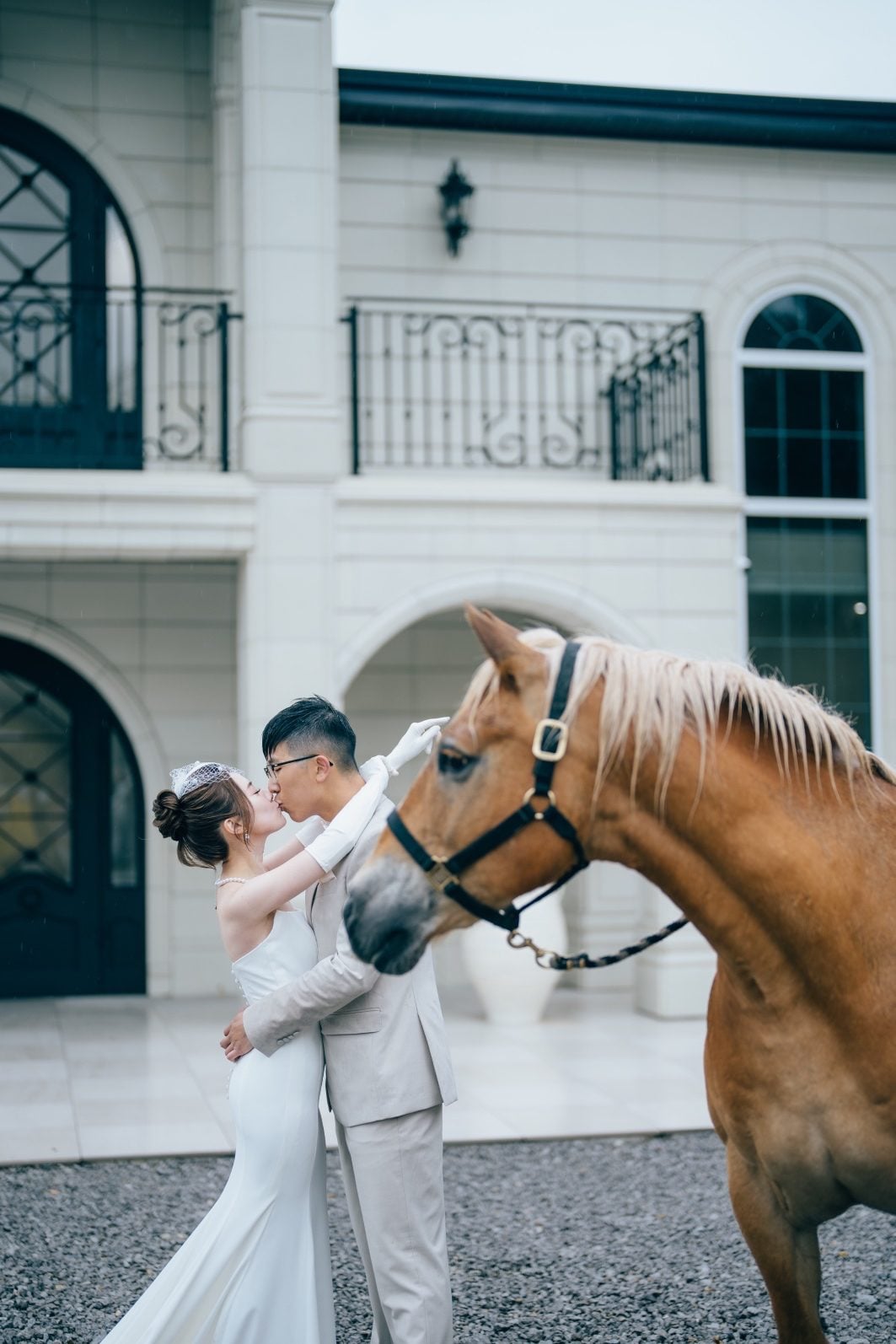 Bride and Groom share a kiss behind a handsome brown horse, like right out of a fairytale.
