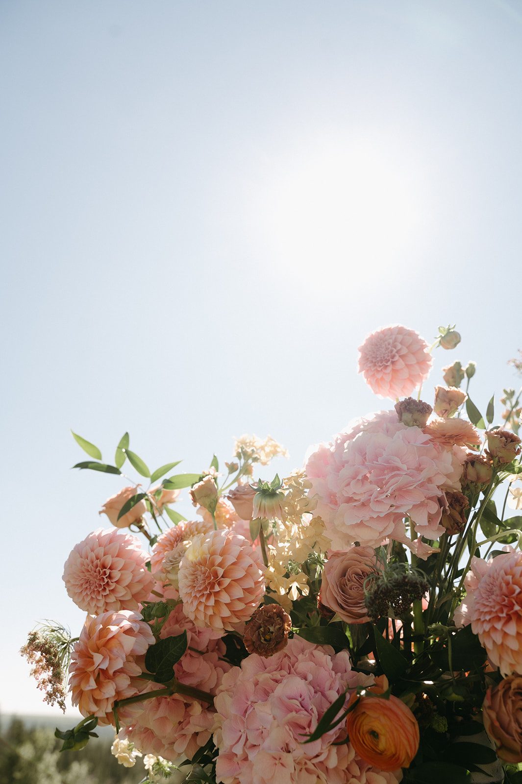 Artistic capture of the top of the pink and peach pillar arrangements of hydrangea, dahlias, lisianthus, stock, ranunculus, chocolate lace and phlox with sunny blue skies behind them.
