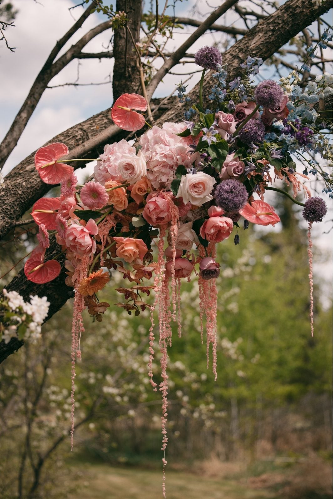 A floral installation attached to the blooming tree where the ceremony took place featuring pink, peaches corals and purples.
