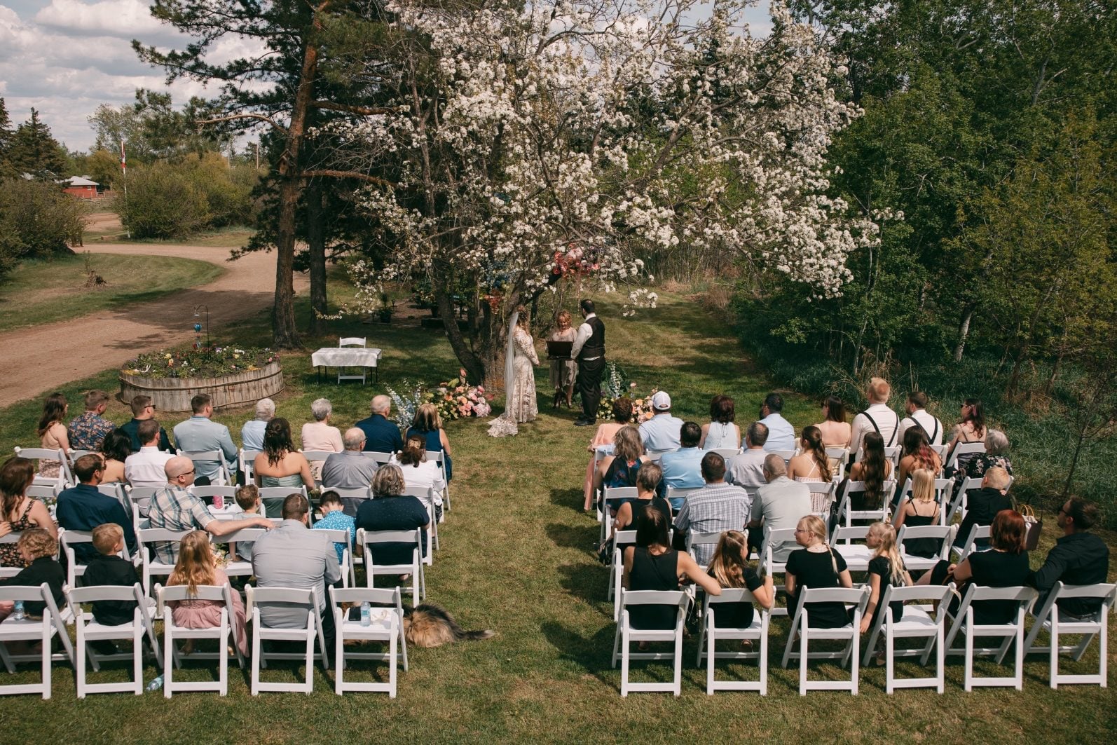 Wide view of an intimate outdoor wedding ceremony beneath a flowering tree with colourful floral installations and seated guests.