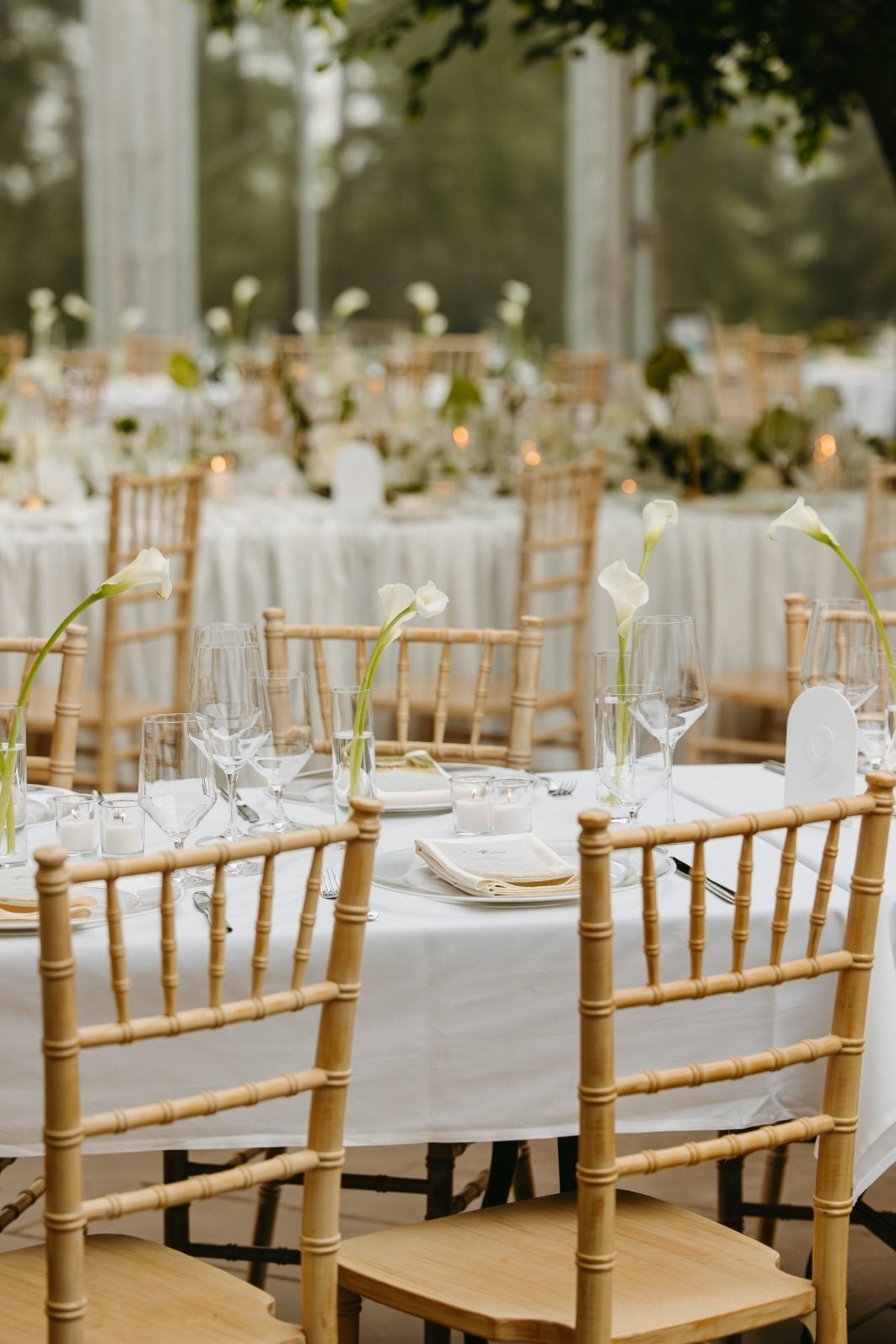 White and Green Wedding Flowers Calla Budvases A long harvest table with bud vases of white calla lilies, with other tables and their white and green centrepieces in the background.