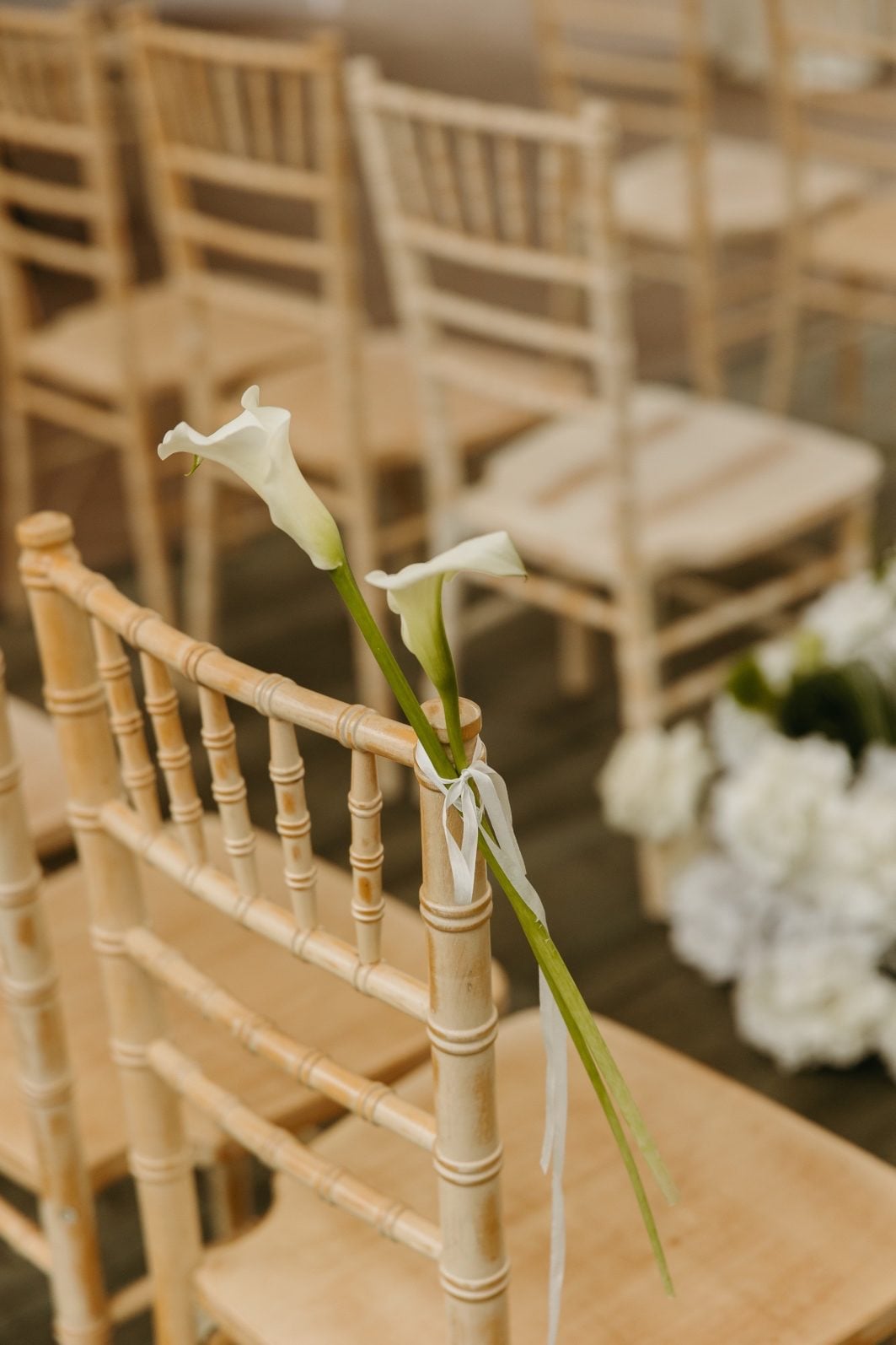White and Green Wedding Flowers Calla Pew Markers Two white calla lilies tied to the chiavari chairs as pew markers.