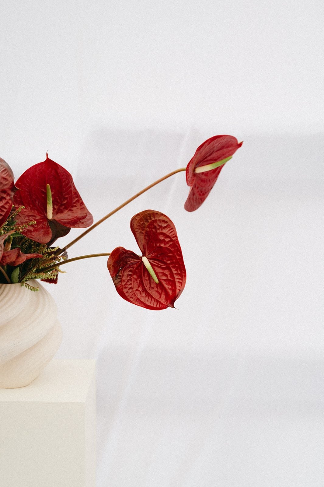 Andi + Logan Burgundy anthurium extending from a modern sculptural wedding flower arrangement in a white ceramic vessel.