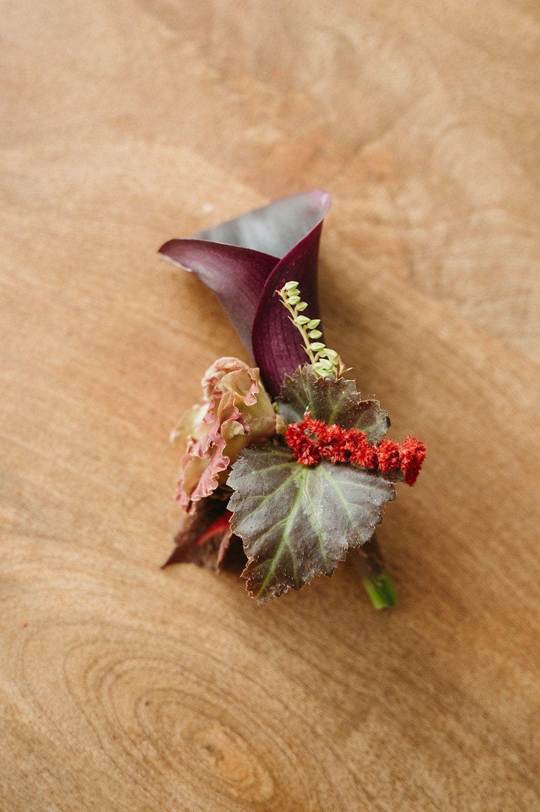 Andi + Logan Grooms boutonnière with an eggplant coloured calla lily with begonia leaves and a small accent of red amaranthus.